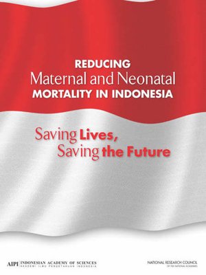 cover image of Reducing Maternal and Neonatal Mortality in Indonesia